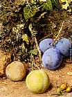William Holman Hunt Paintings - Still Life With Greengages And Plums On A Mossy Bank by William Henry Hunt
